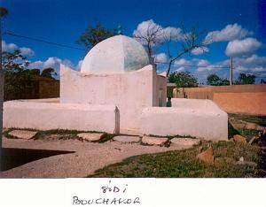 TELAGH MARABOUT MOSQUEE 01